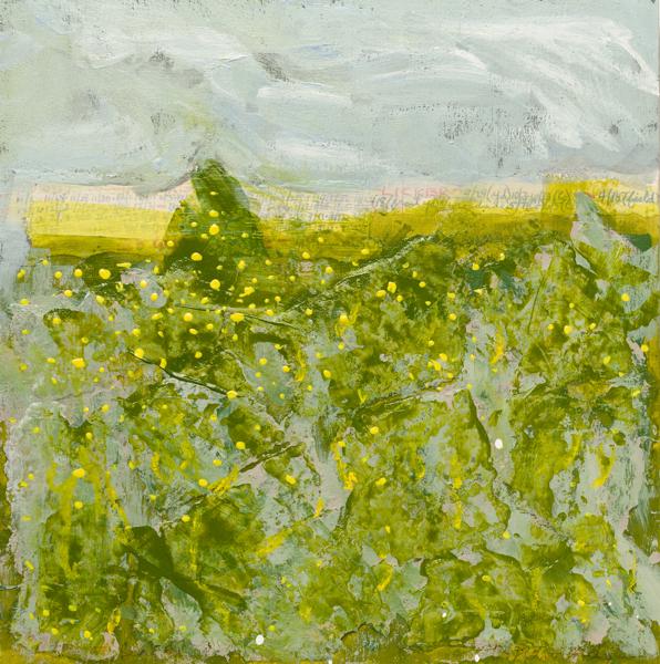 Expanding my Horizons